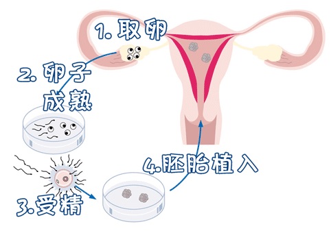 元准生殖医学中心